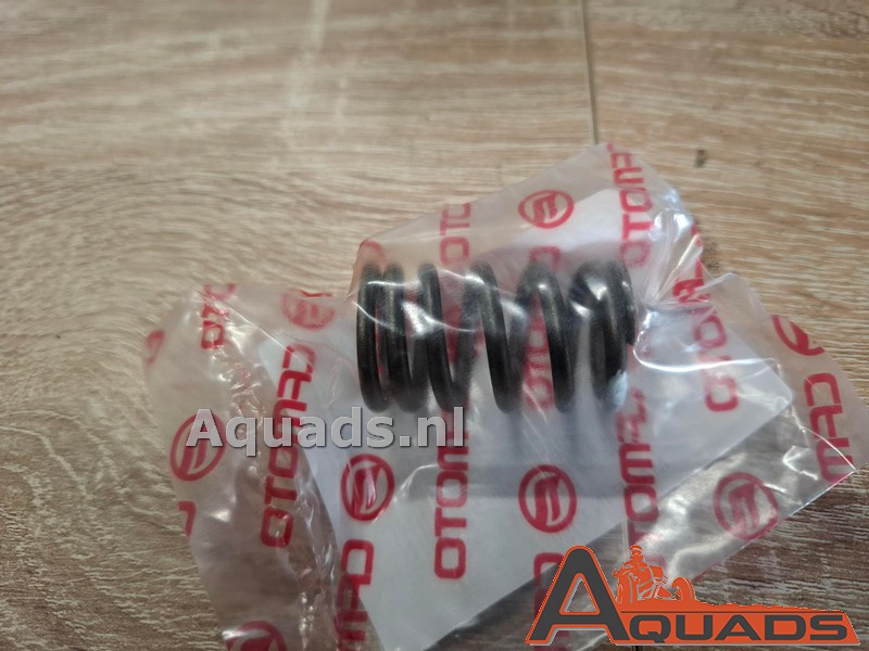 Valve spring CF 500